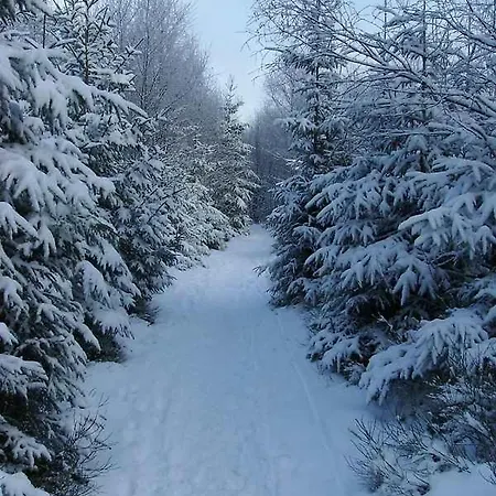 The Great View Sauna & بيت للعطل Harscheid