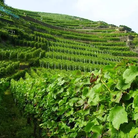 The Great View Sauna &