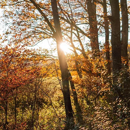 The Great View Sauna & بيت للعطل *